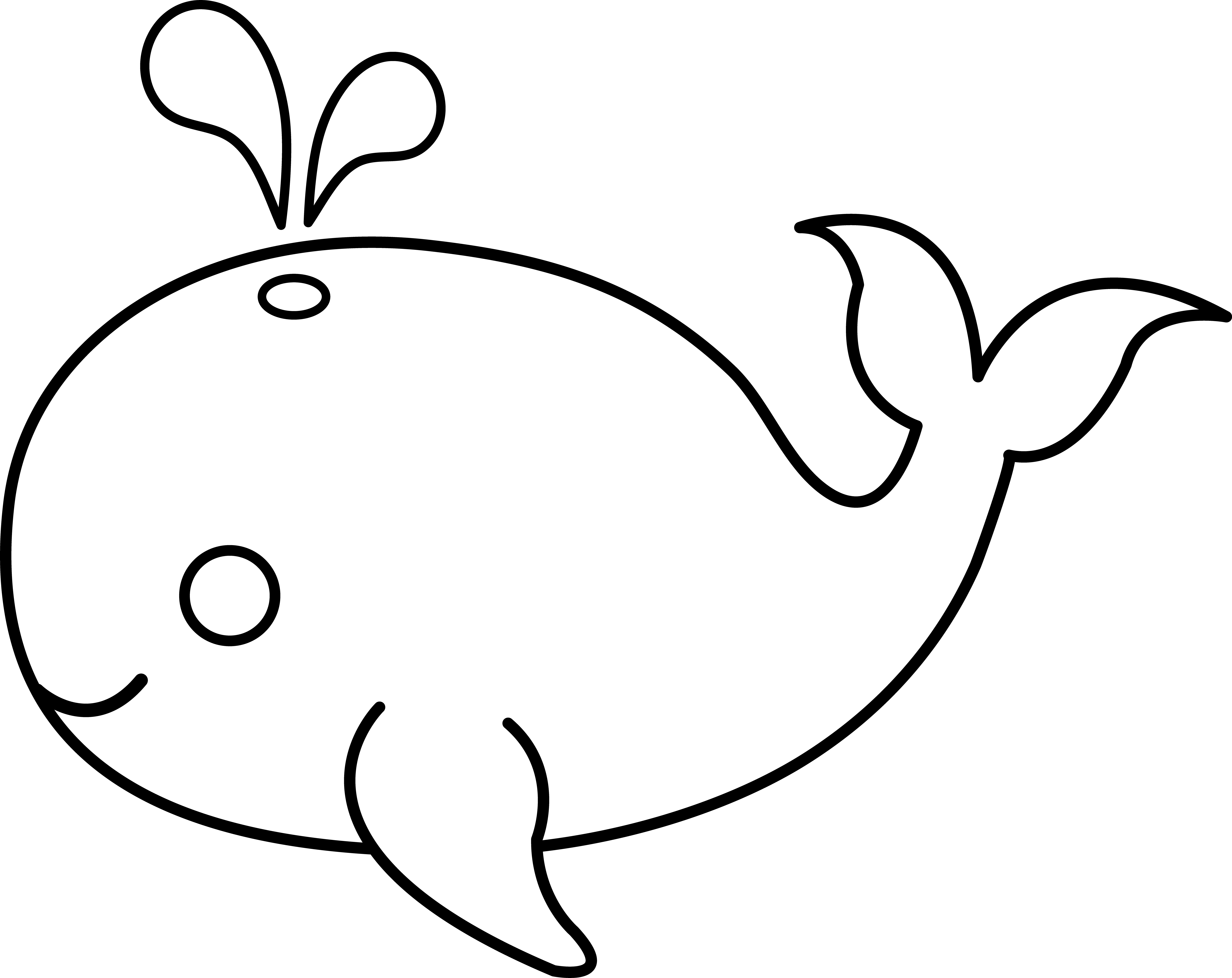 whale outline Whale clipart fish outline pencil and in color whale png