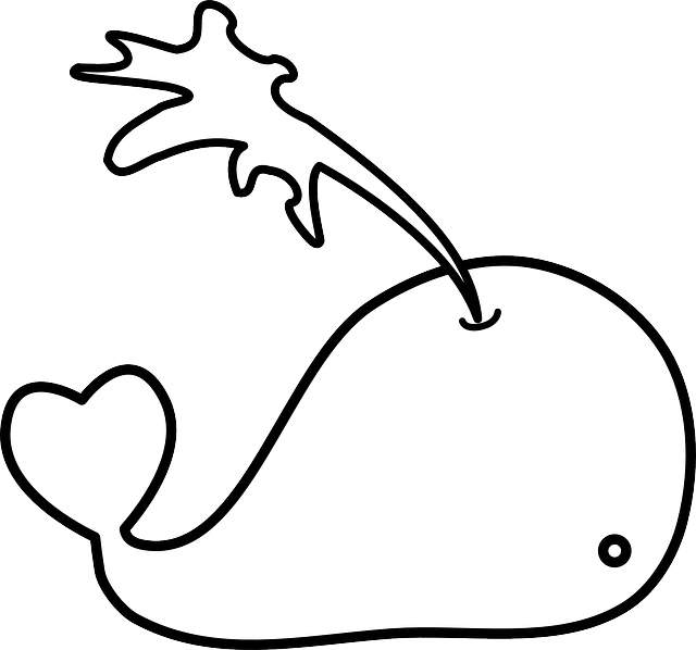 whale outline Eyes water simple outline whale tail mammal fin png