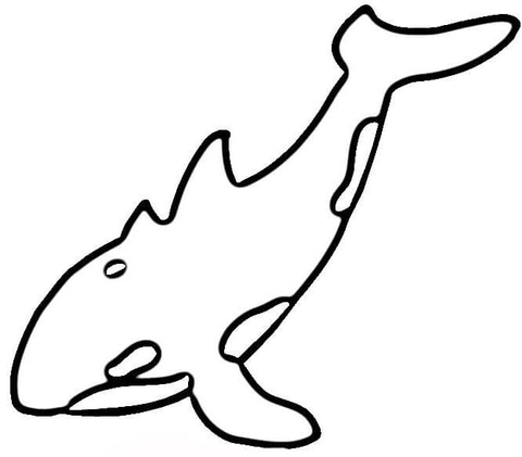 Orca whale outline coloring page animal killer jpg