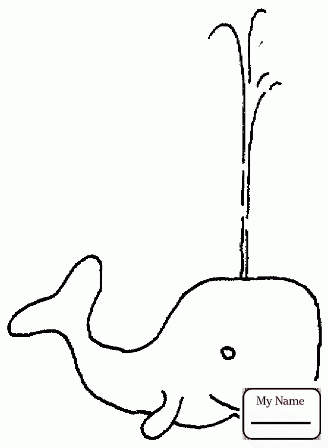 Cartoon whale mammals whale outline coloring pages gif