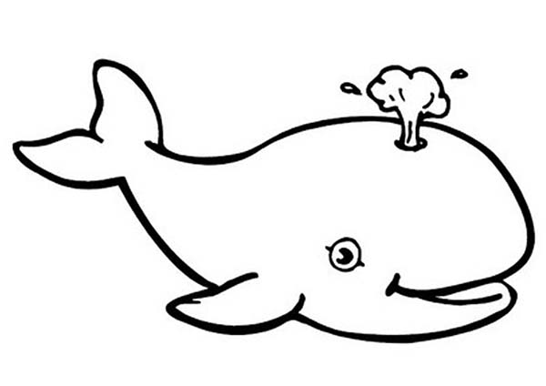 whale outline Whale clipart blue color pencil and in whale jpg