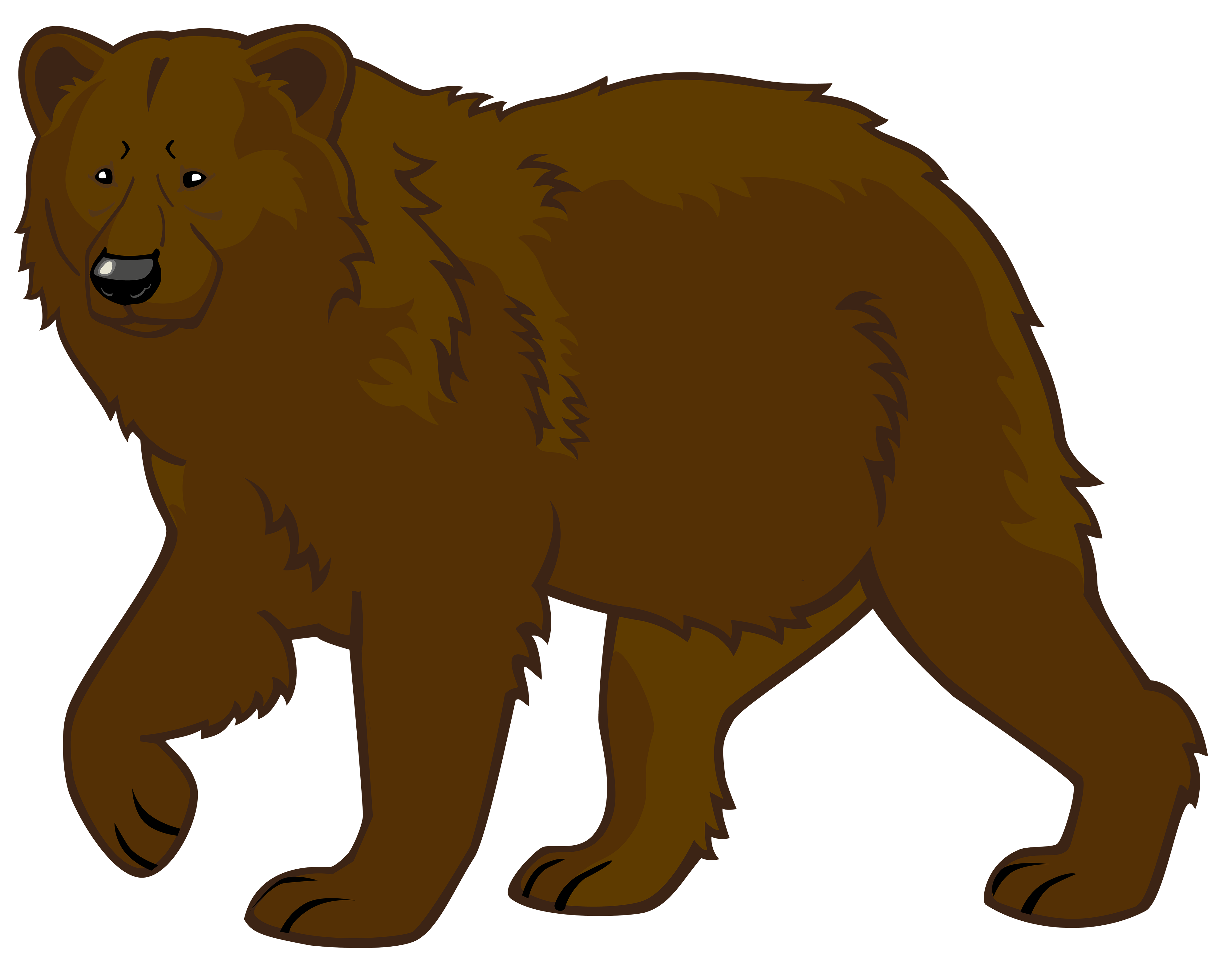 Brown bear clipart web png