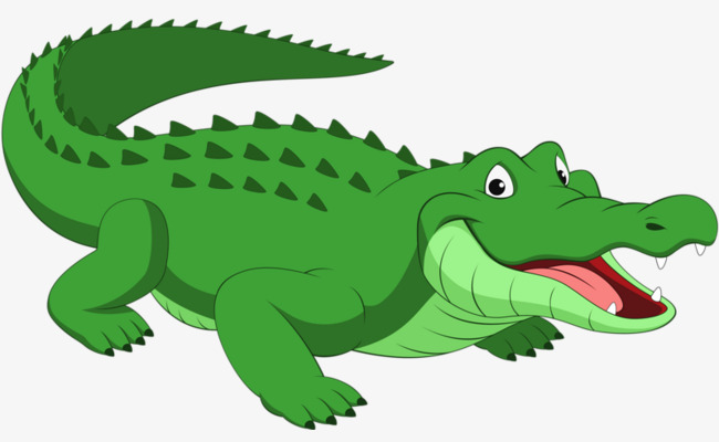Green crocodile clipart leather jpg
