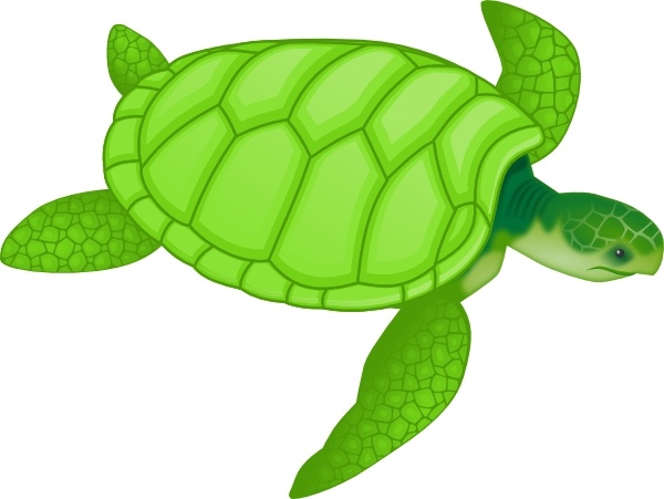 Green sea turtle clip art free vector in open office drawing svg jpg