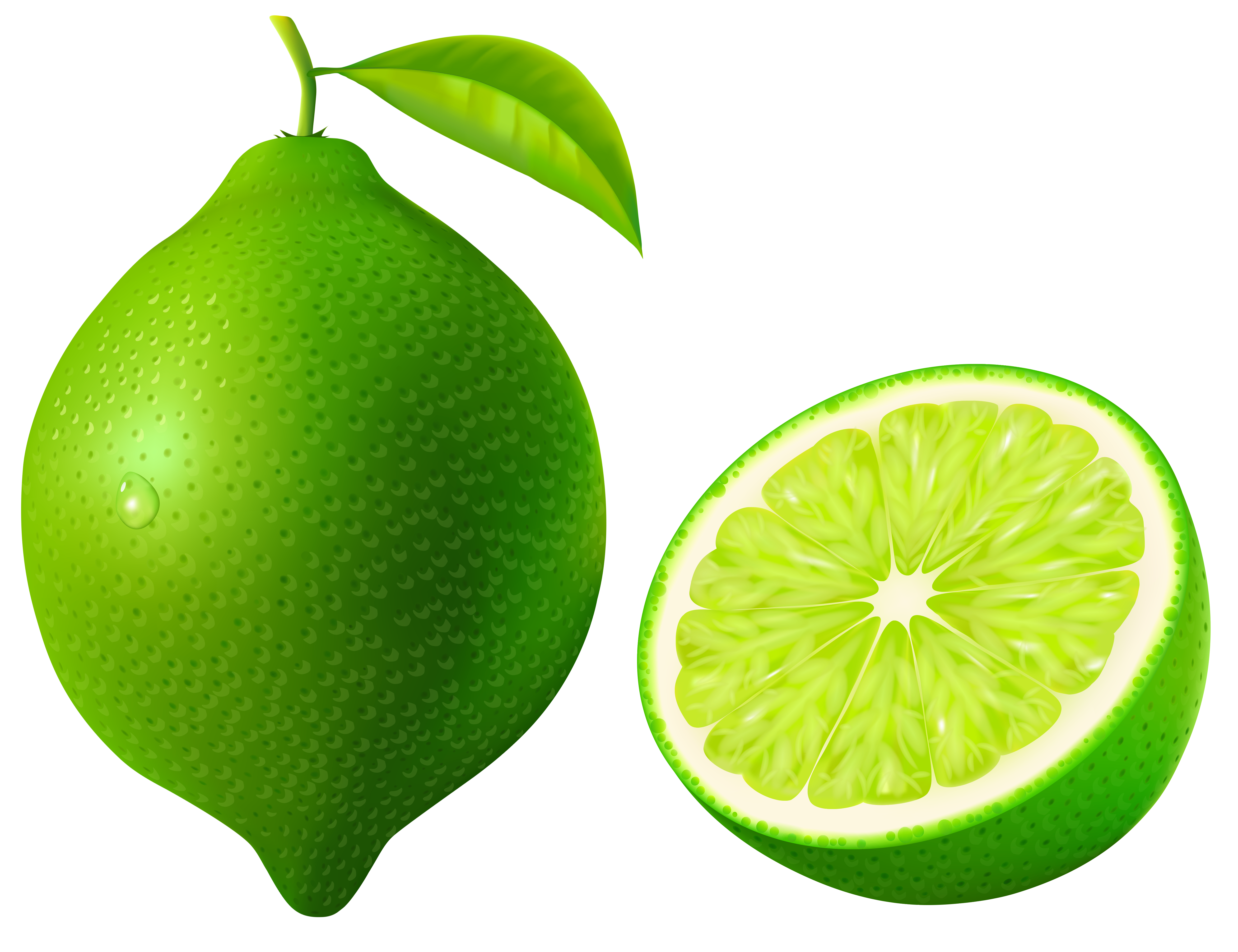 Green lime vector clipart image gallery yopriceville high png