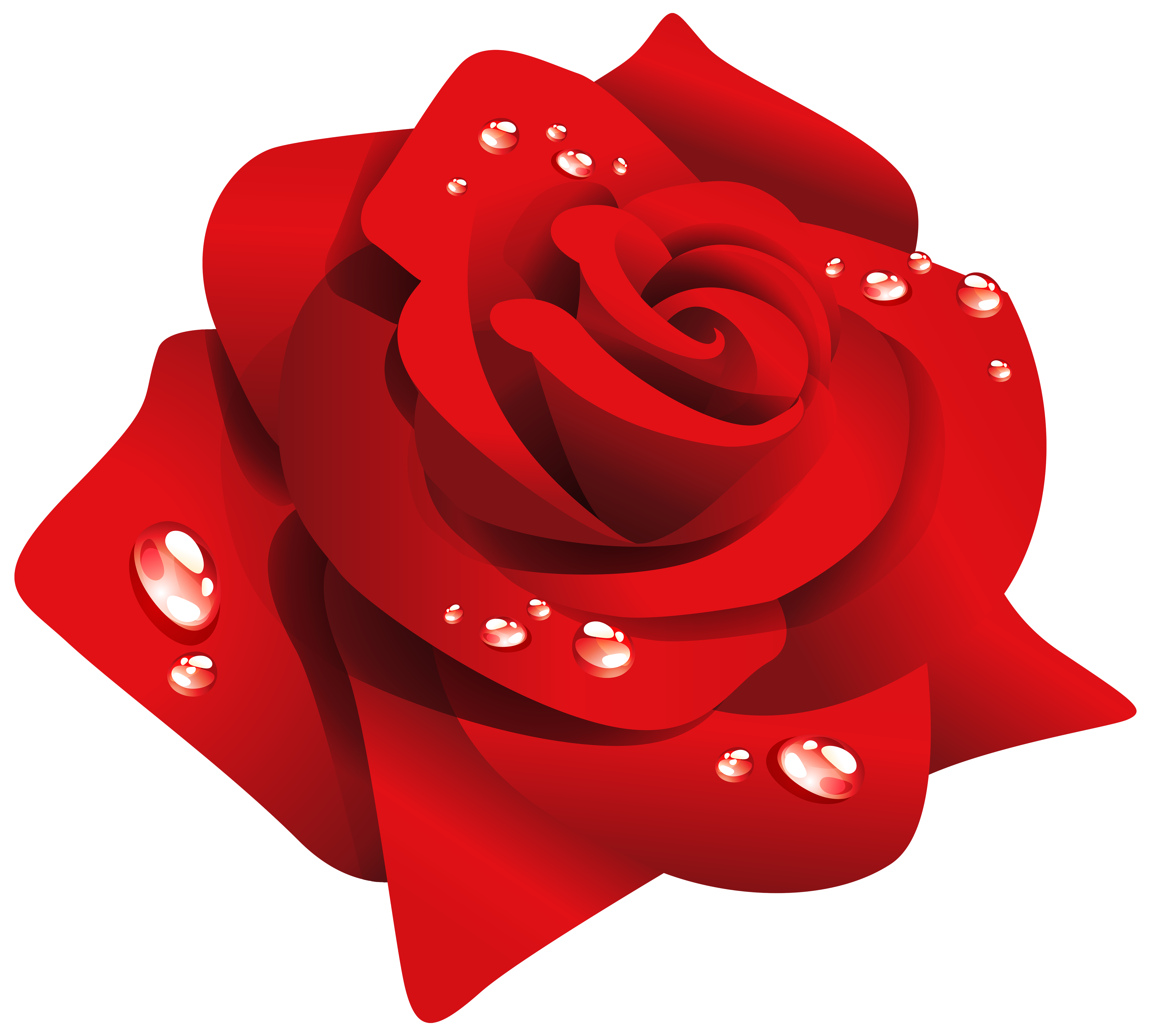 Red rose with dew clipart web png