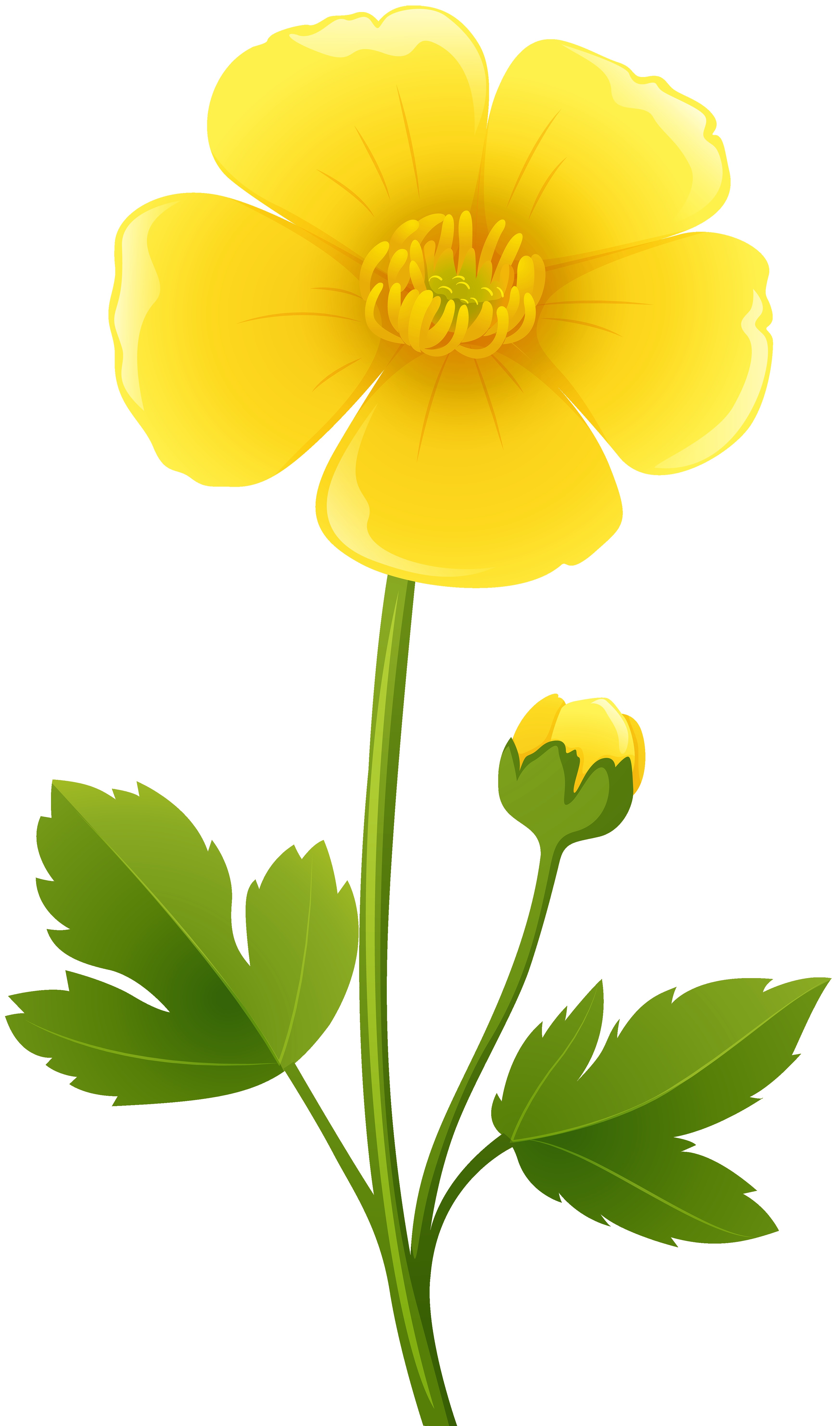 Yellow flower transparent clip art image 2 jpg