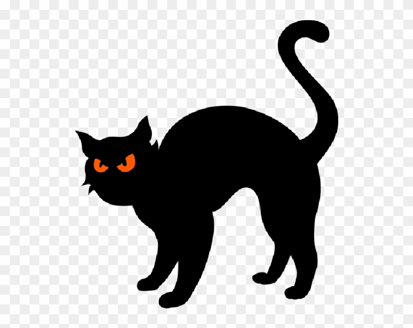 Black cat clip art halloween clipart free transparent png