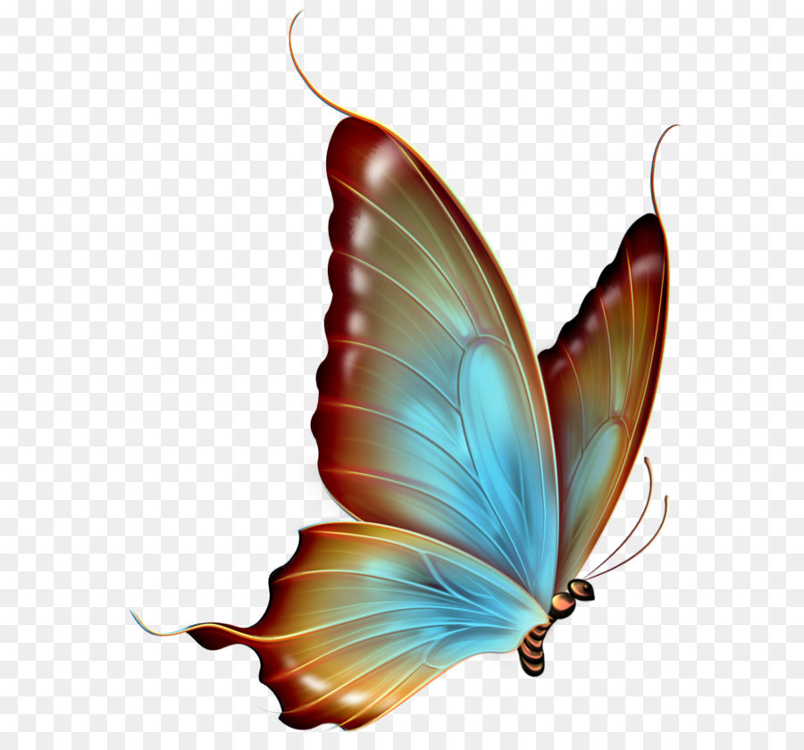 butterfly transparent Butterfly clip art brown and blue transparent clipart jpg