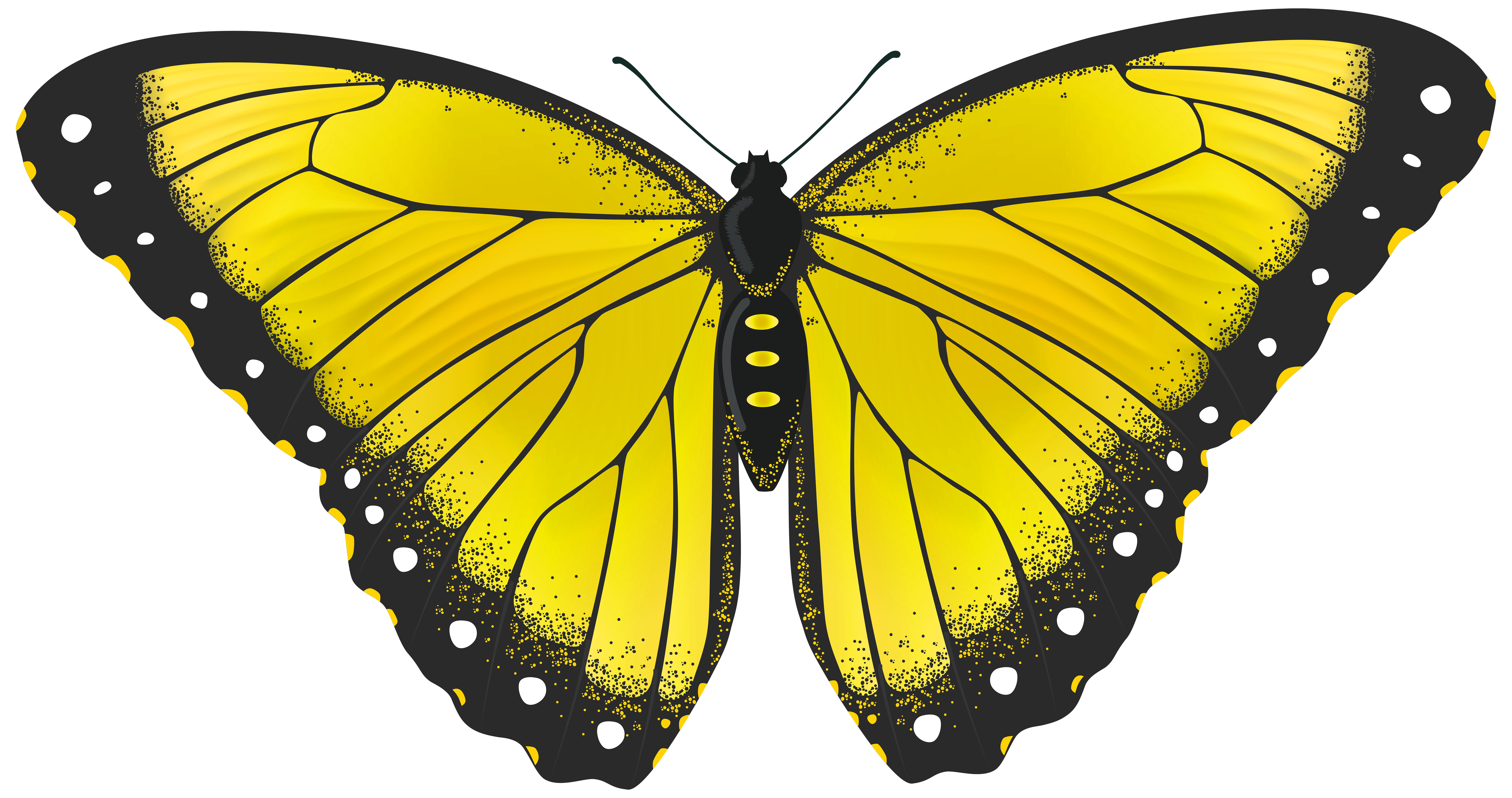 butterfly transparent Halloween butterfly free stock rr collections png