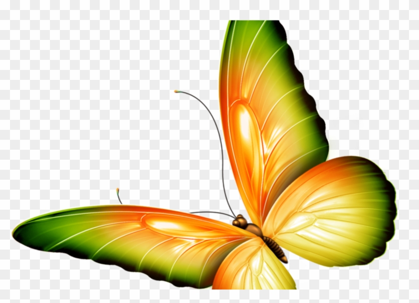 butterfly transparent Yellow and green transparent butterfly clipart by zwyklaania png