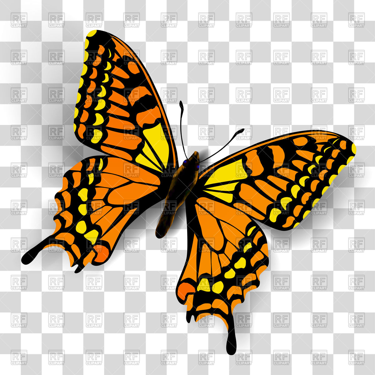 butterfly transparent Realistic butterfly on transparent background vector jpg
