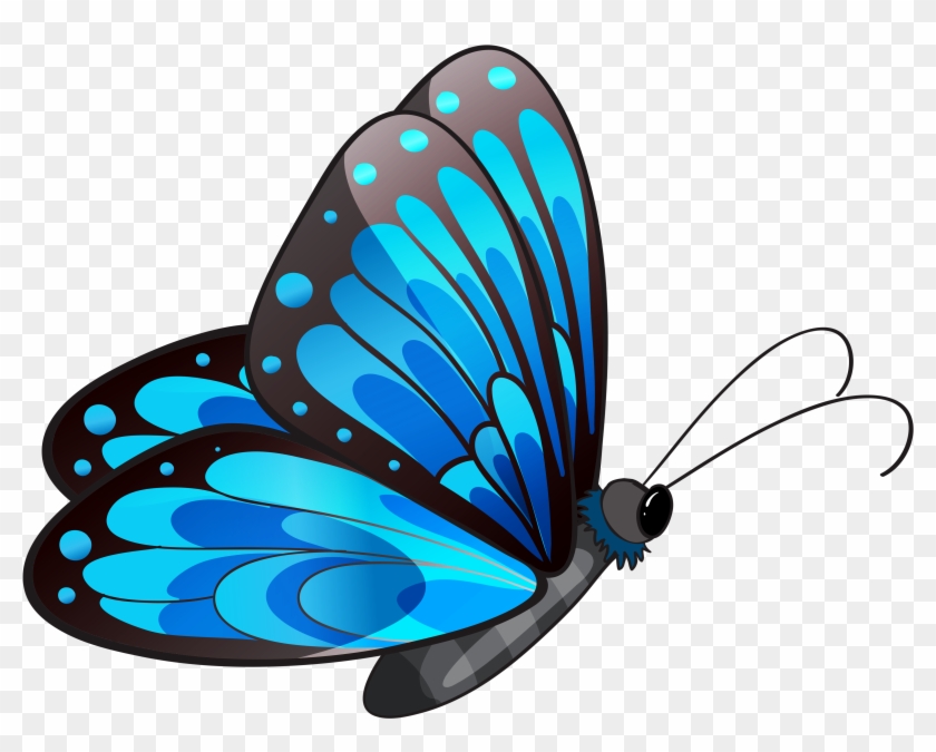 butterfly transparent Transparent blue butterfly clipart flying clip art png