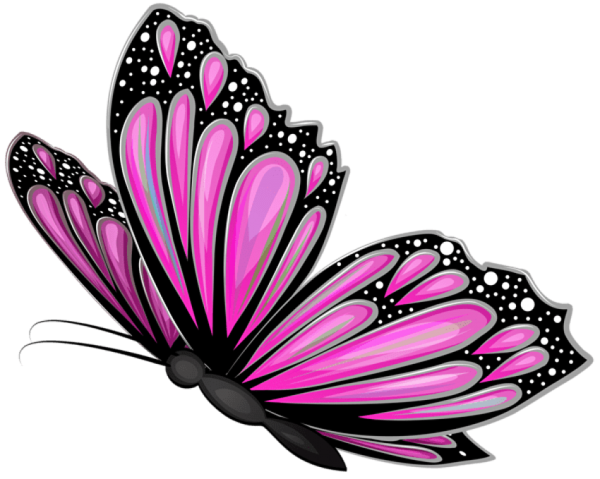 Download pink butterfly transparent clipart photo top png