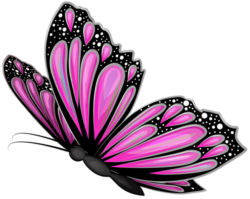 Free Free 240 Transparent Butterfly Svg Free SVG PNG EPS DXF File