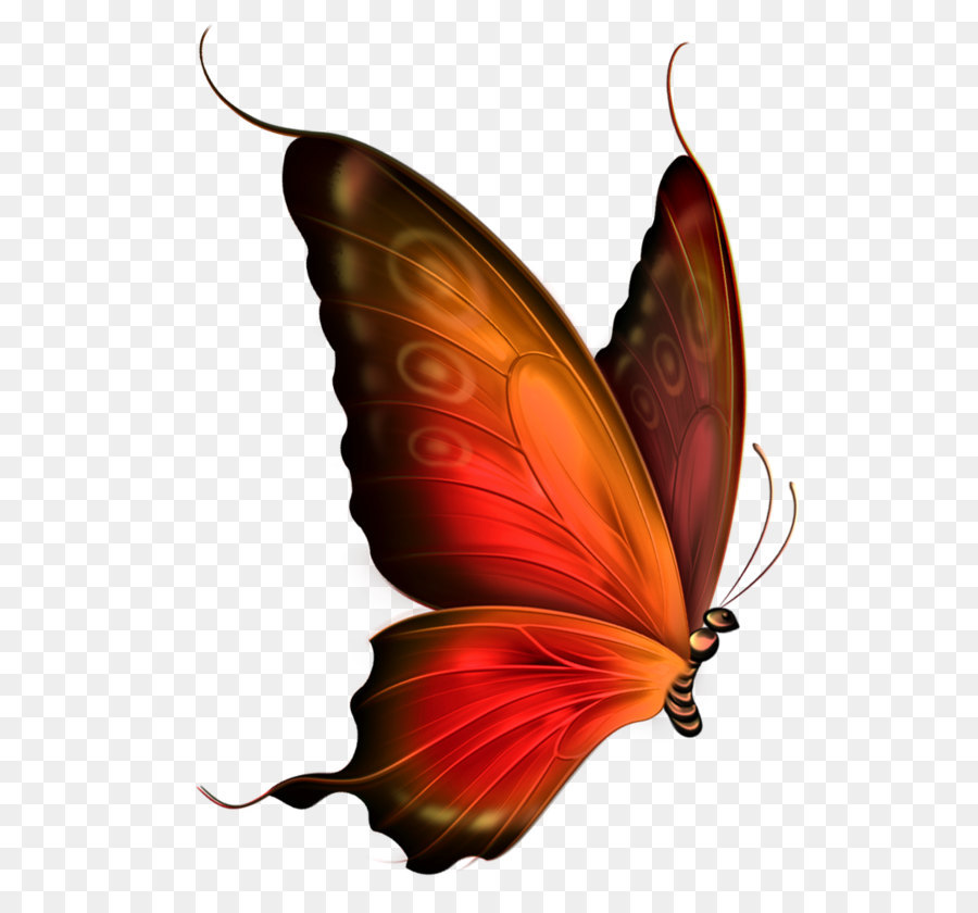 butterfly transparent Butterfly blue clip art red and brown transparent jpg