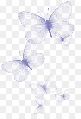 butterfly transparent Greta oto  jpg