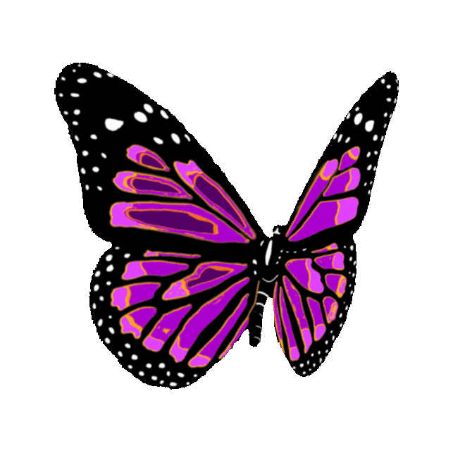 butterfly transparent Stickers transparent butterfly for free download on ya webdesign gif
