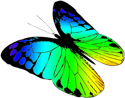 butterfly transparent Download hd butterfly clipart clip art free transparent png
