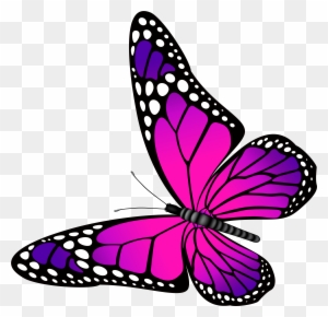 butterfly transparent Butterfly clipart transparent images free download png