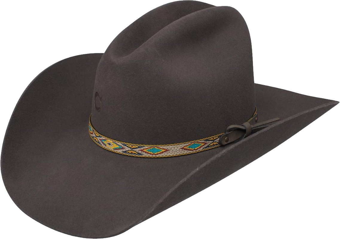 Cowboy hat png 2