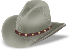 Cowboy hat jpg 2