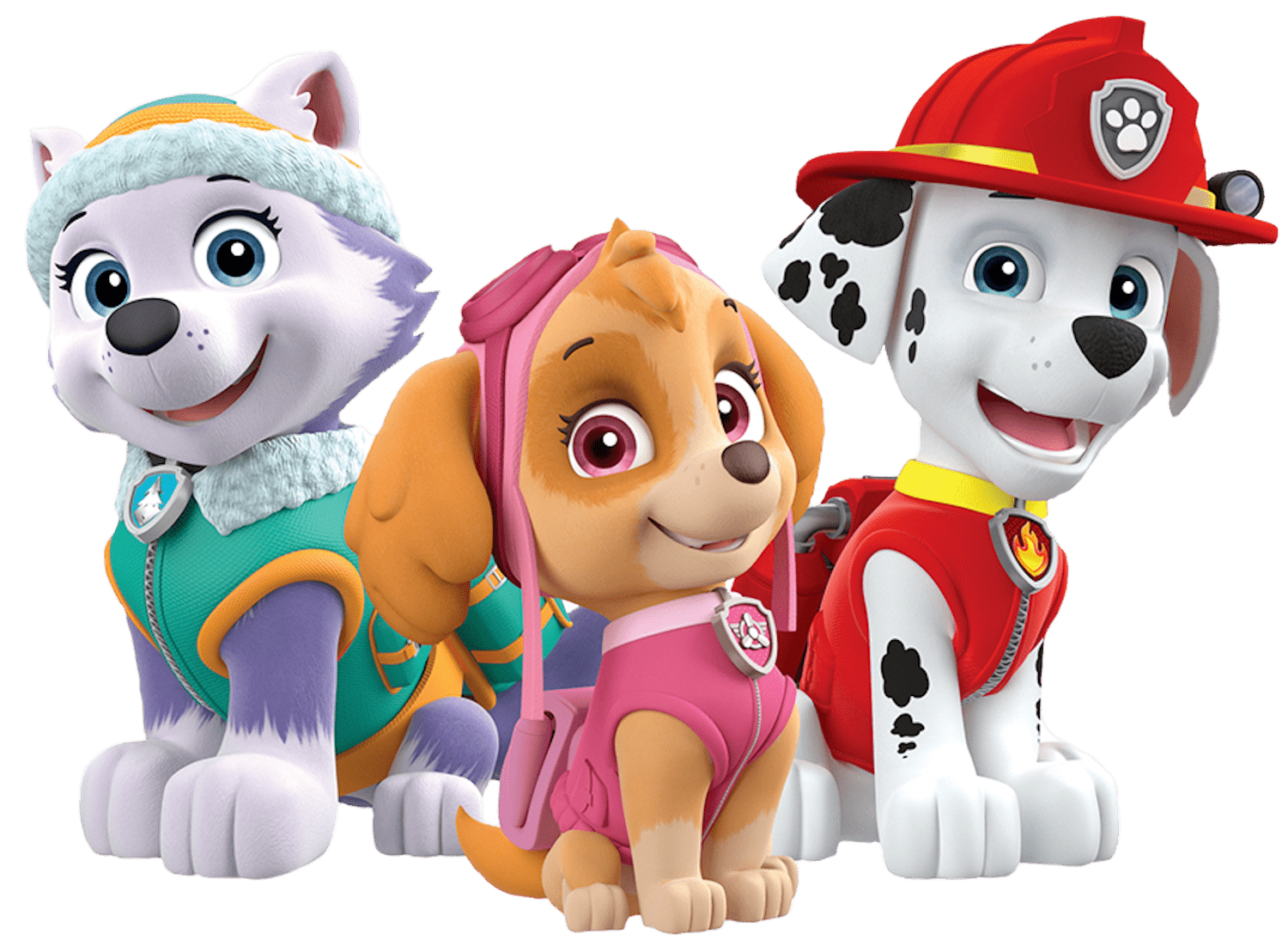 Marshall skye everest paw patrol clipart png