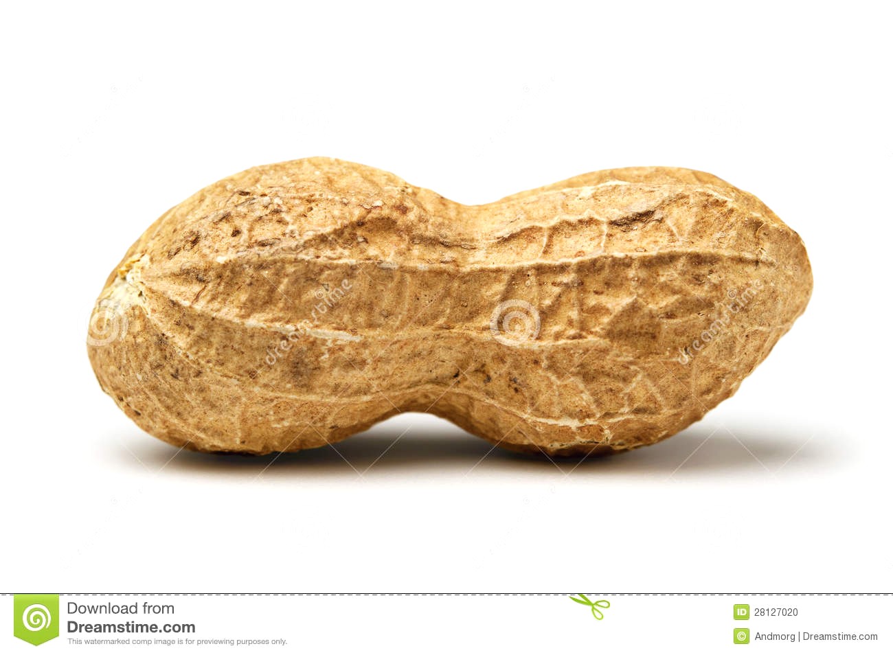 Peanut clipart closeup peanuts jpg