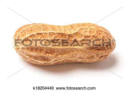 Raw peanut clipart image jpg