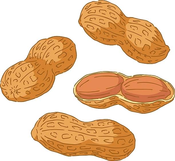 Reese'peanut butter cup clipart great free clipart silhouette jpeg