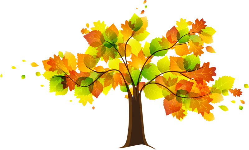 Free fall tree image library rr collections png
