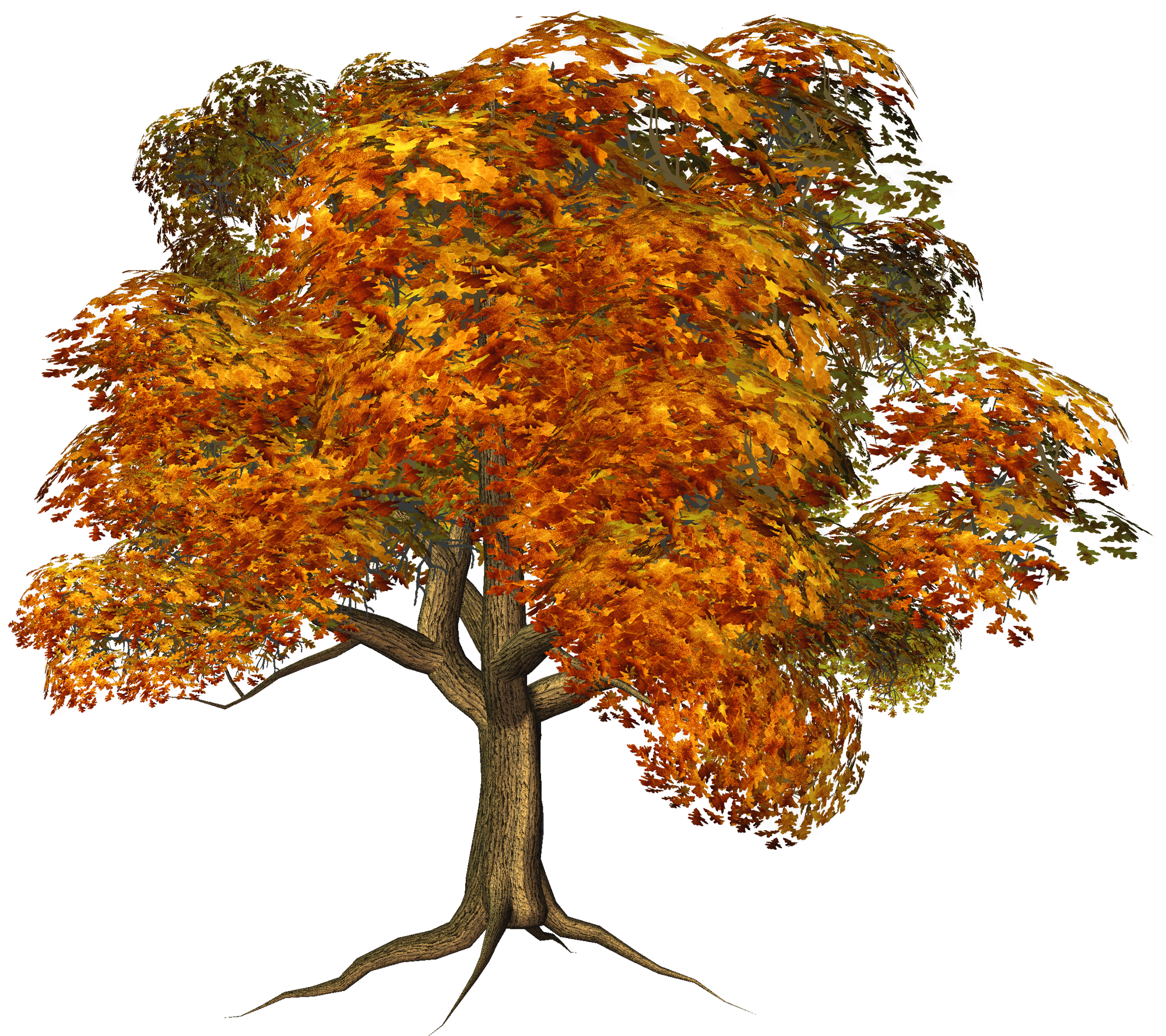 Large fall tree clipart gallery yopriceville high quality png