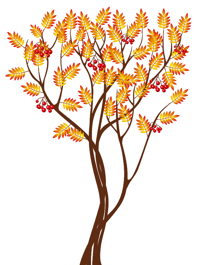 fall tree Tree fall transparent download rr collections png