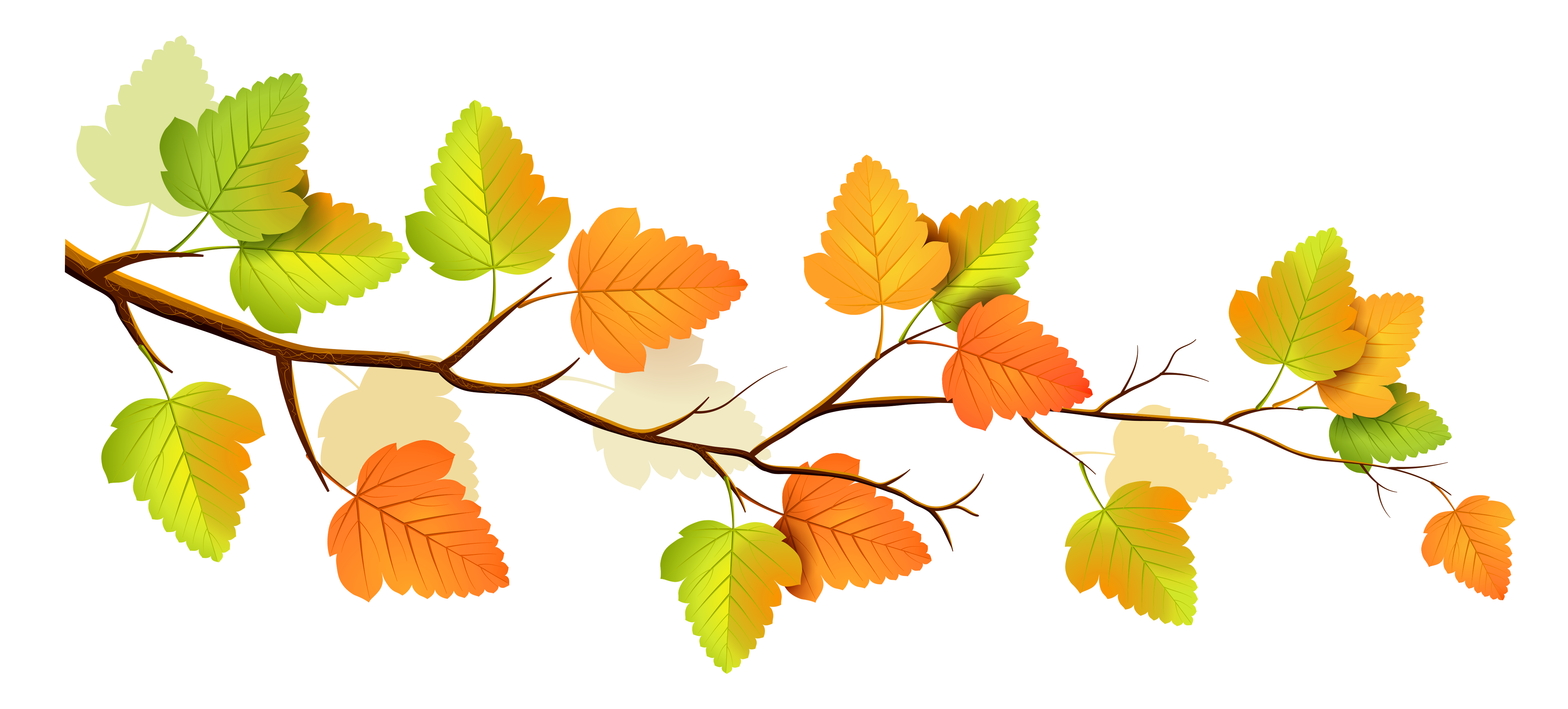 Fall tree branch clipart clipground jpg