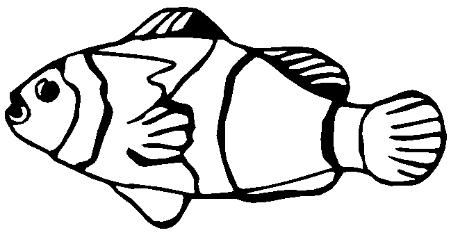 Black and white fish images png