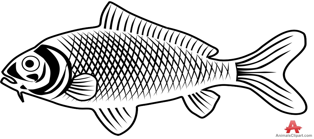 Fish outline freshwater fish clipart clipartfest jpeg