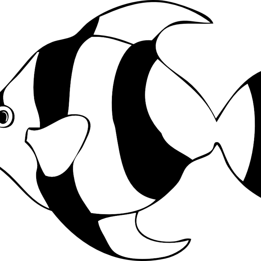 Fish clipart black and white clip art panda free images science 4 png