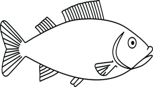 Free fish outline pictures download clip art on jpg