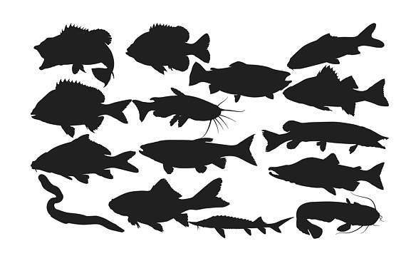 Fish silhouette images at free for personal use jpg