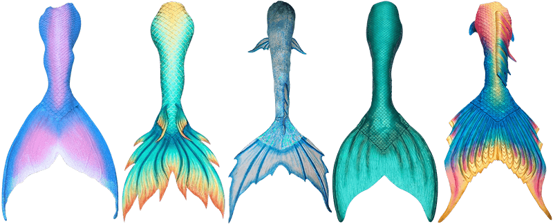 Scales picture library mermaid tail huge freebie download for png