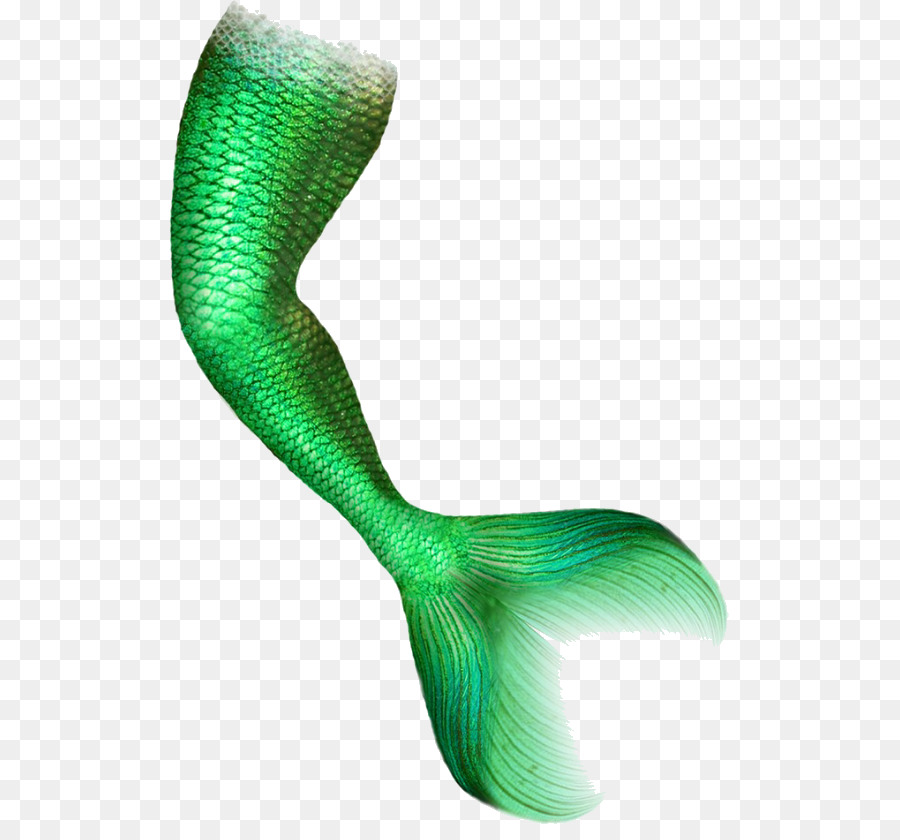 mermaid tail Portable network graphics clip art image downloadputer file jpg