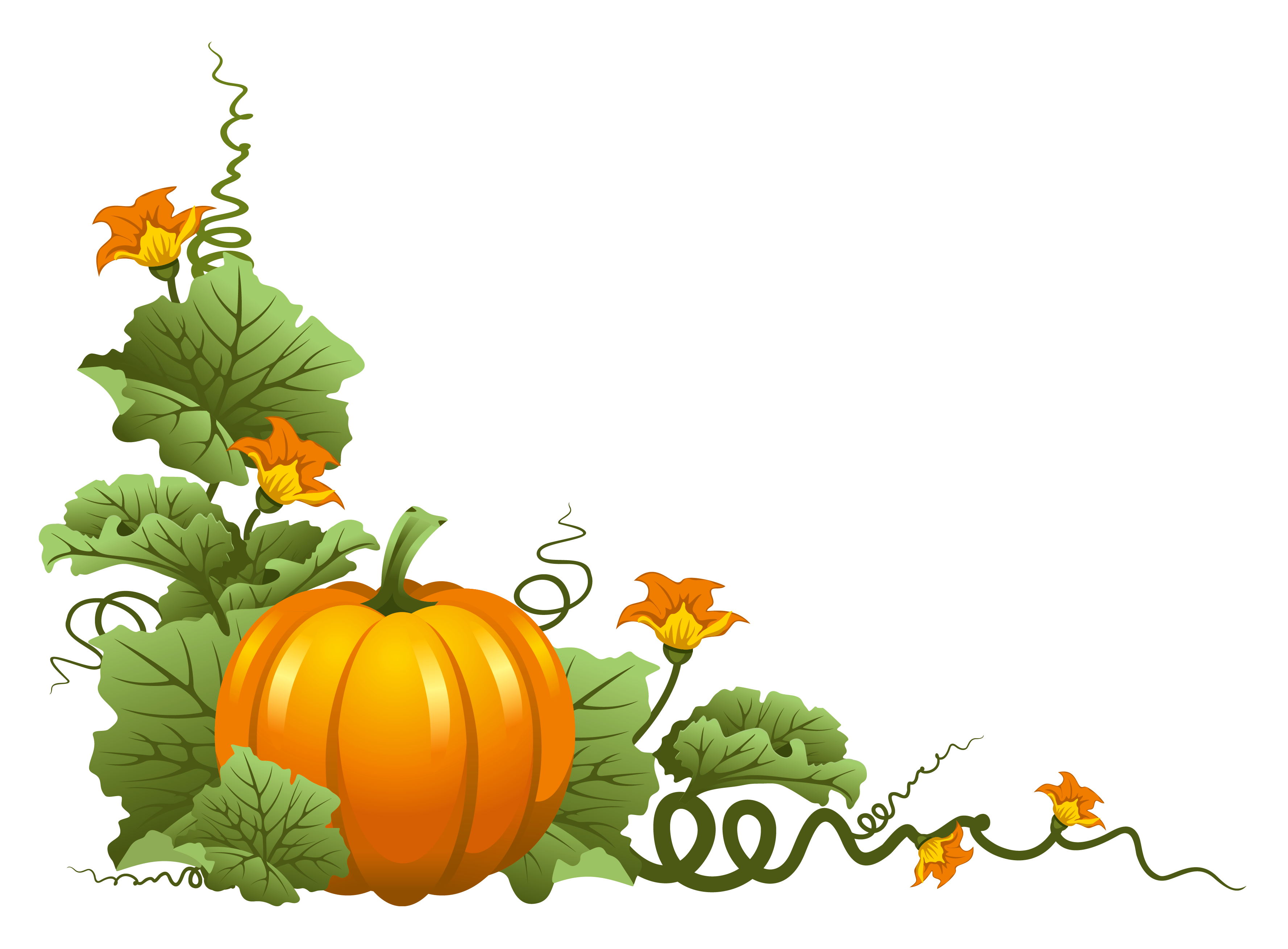 Thanksgiving clip art borders library png