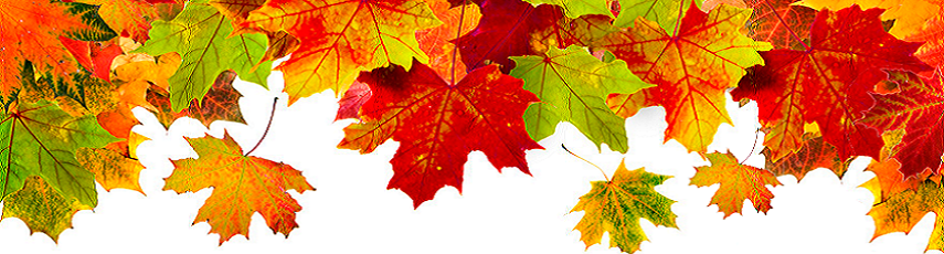 Thanksgiving leaves 1 image png
