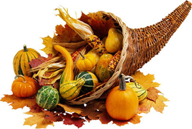 Thanksgiving transparent pictures free icons and backgrounds jpg