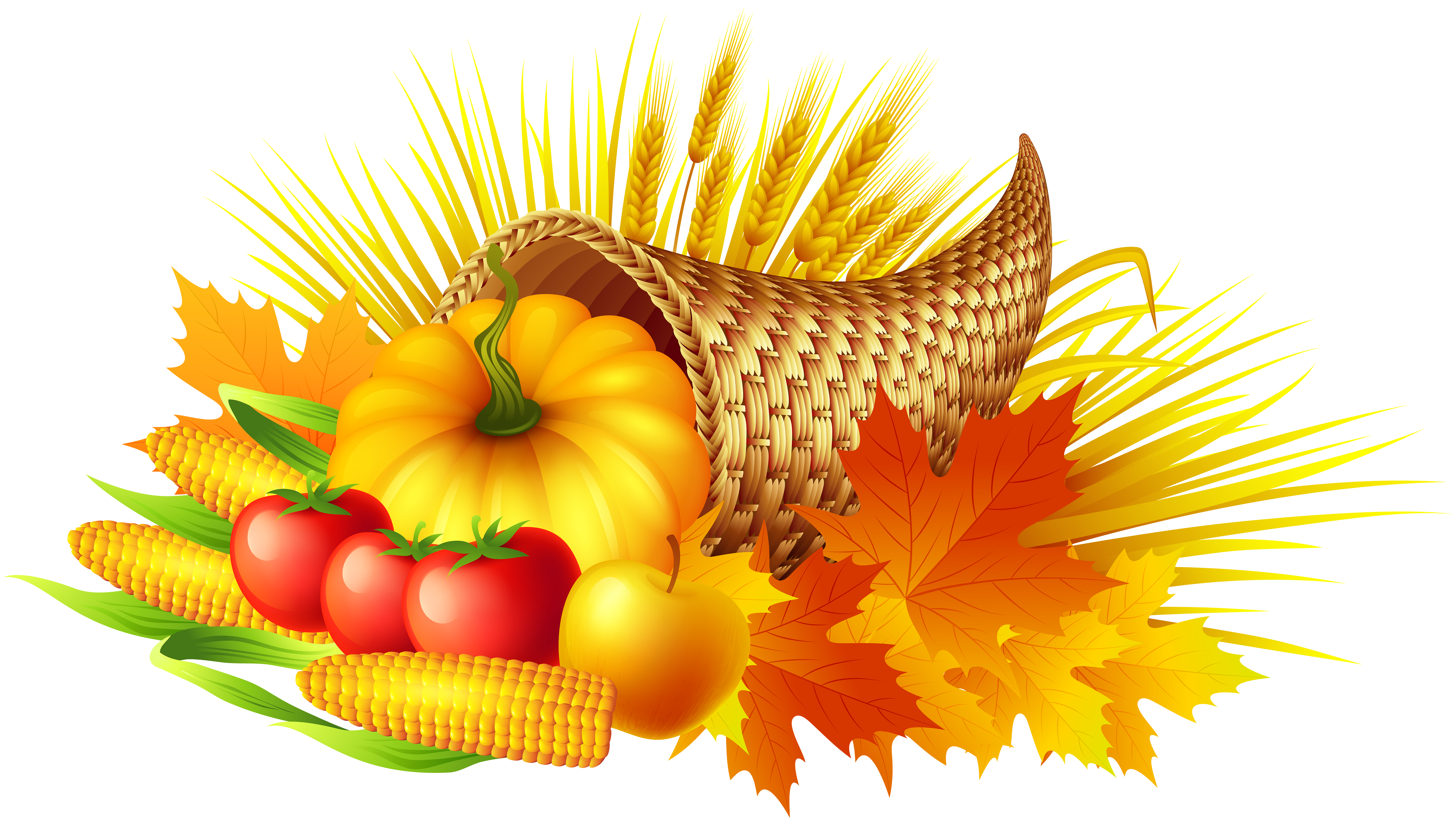 Transparent thanksgiving border freeuse stock rr collections png