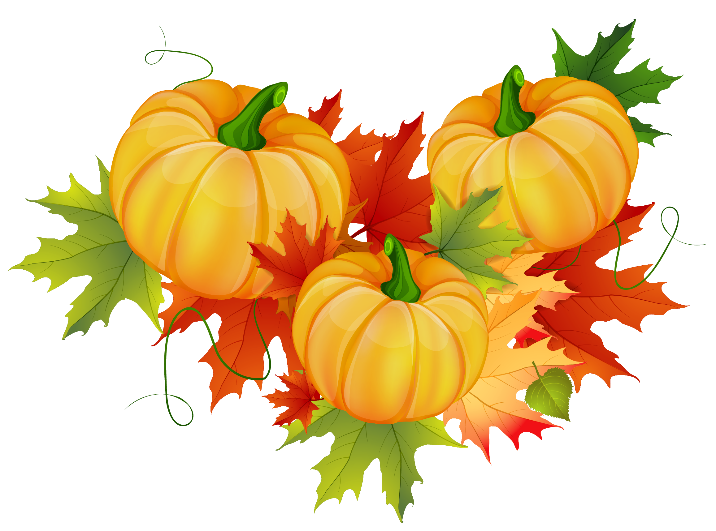 Thanksgiving pumpkin decoration clipart gallery yopriceville png