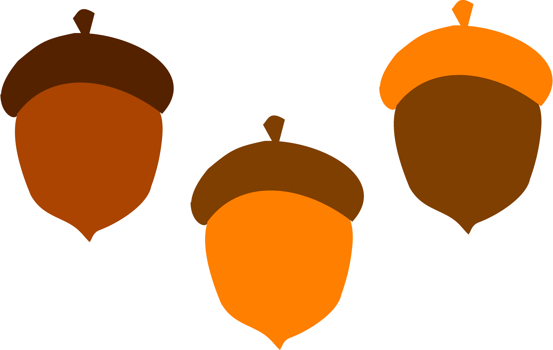 Acorn clipart free acorn orange brown