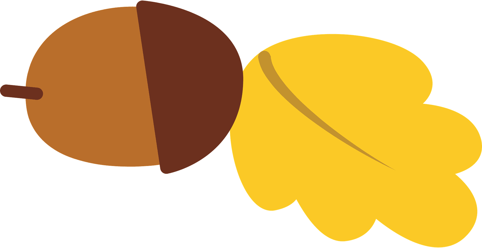 Acorn clipart transparent fall acorn autumn