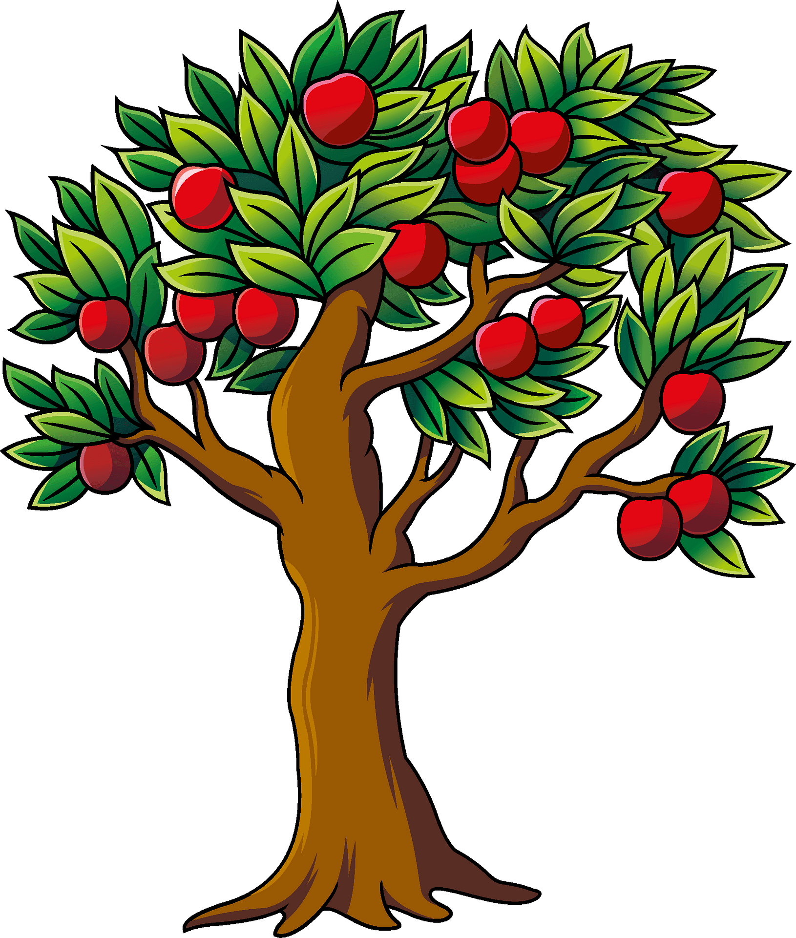 Apple tree clipart free