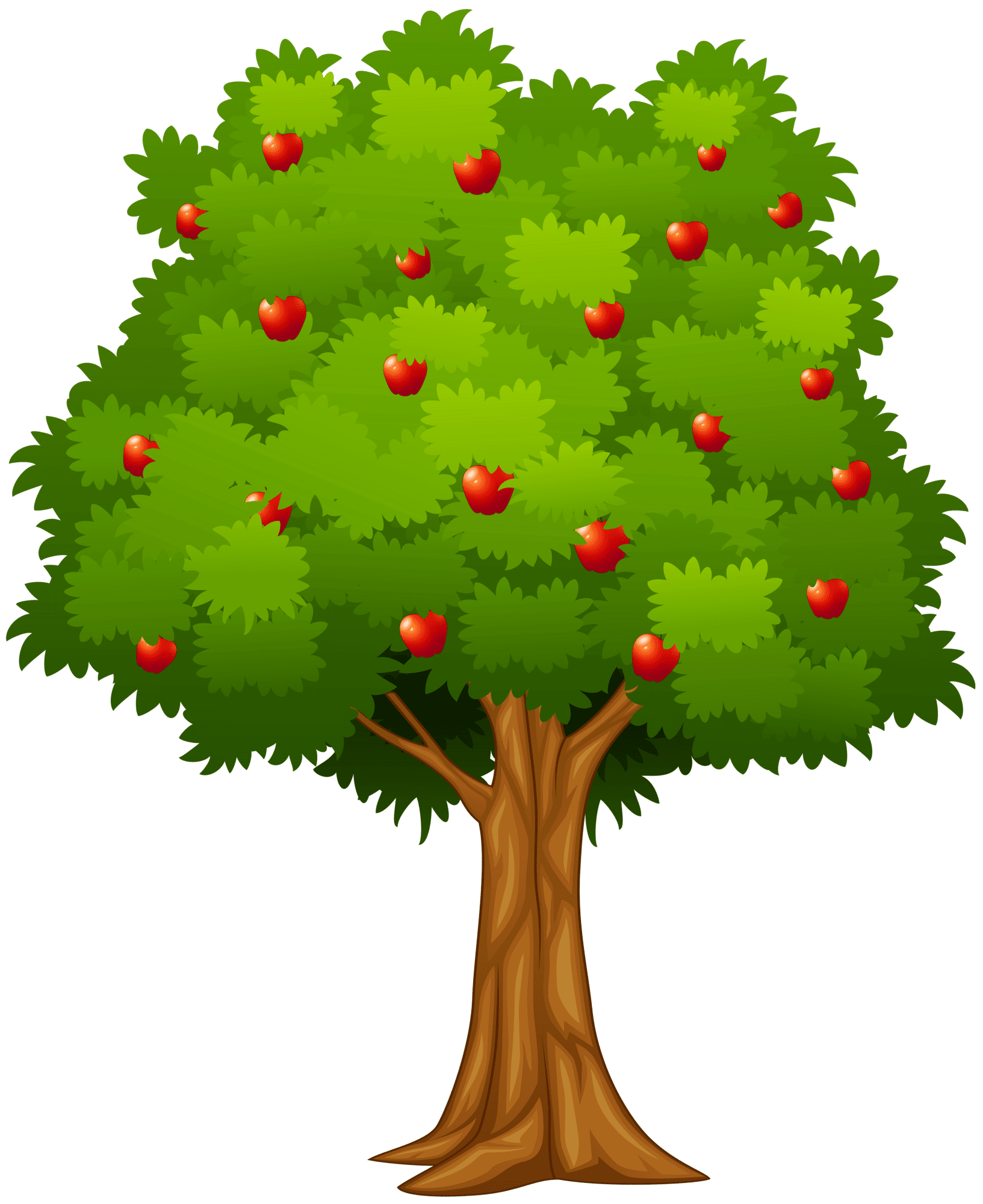 Apple tree clipart image high